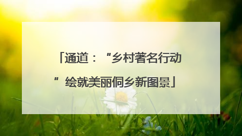 通道：“乡村著名行动”绘就美丽侗乡新图景